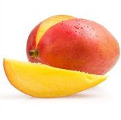 Mango-Extra-0007308_175.jpeg