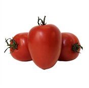 Tomates-de-Pera-0007785_175.jpeg