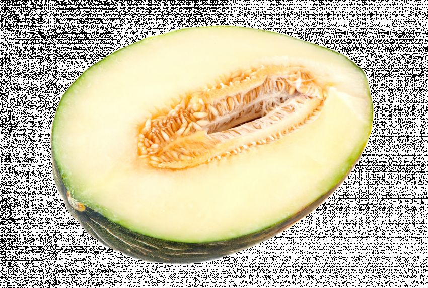 Melon Sapo 1