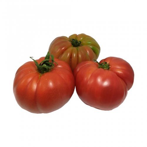 Tomate-Rosa-3-0009433.jpeg