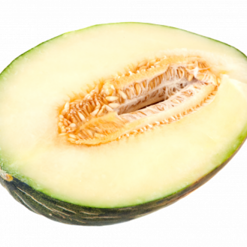 Melon Sapo 1.png